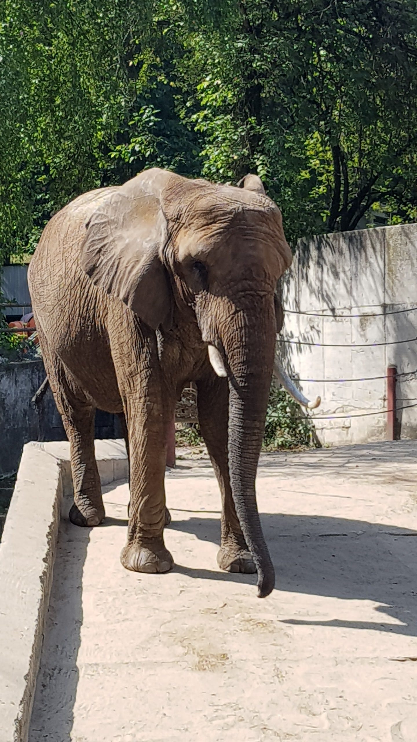 ZOO Bojnice
